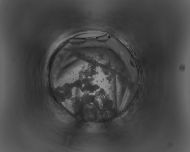 X0000091360343200708311509