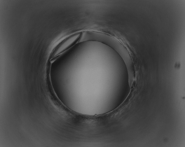 X0000091360344200708311509