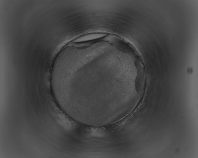 X0000091360345200708311509