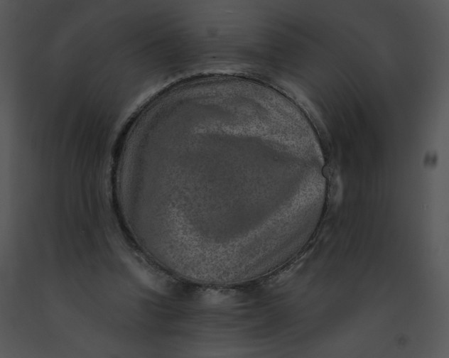 X0000091360346200708311509