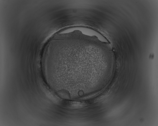 X0000091360347200708311509
