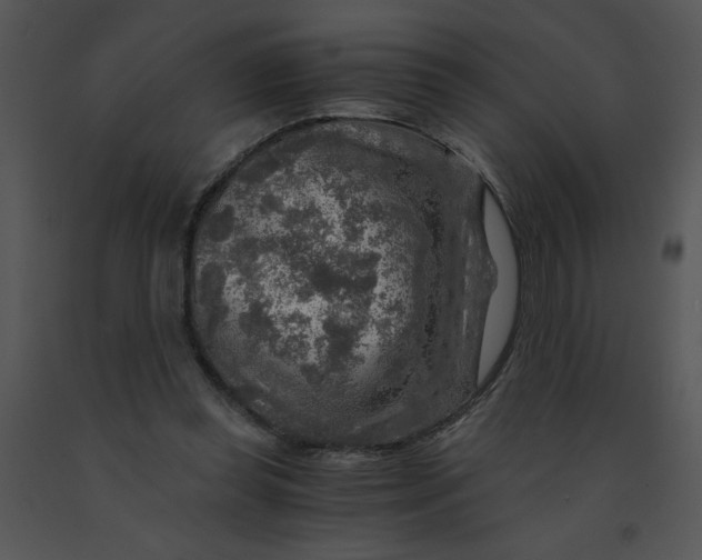 X0000091360349200708311509