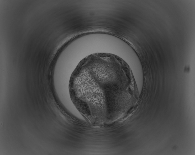 X0000091360350200708311509