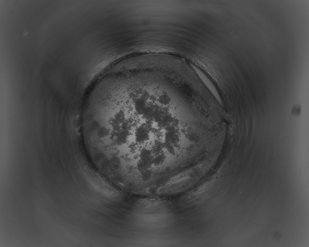 X0000091360351200708311509