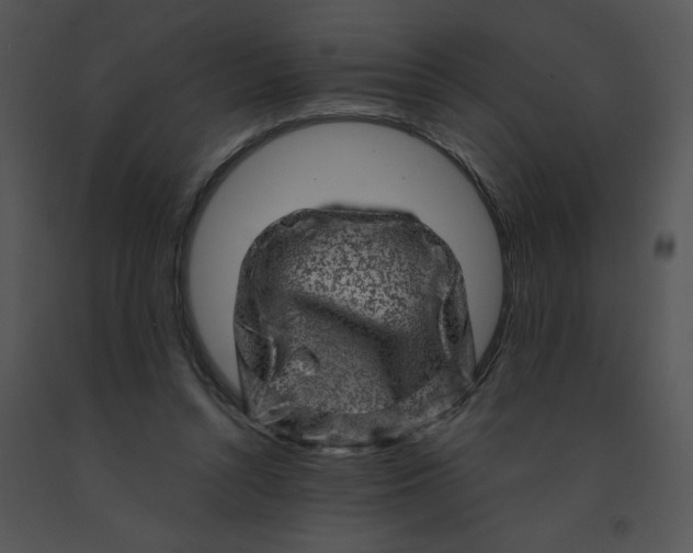 X0000091360352200708311509