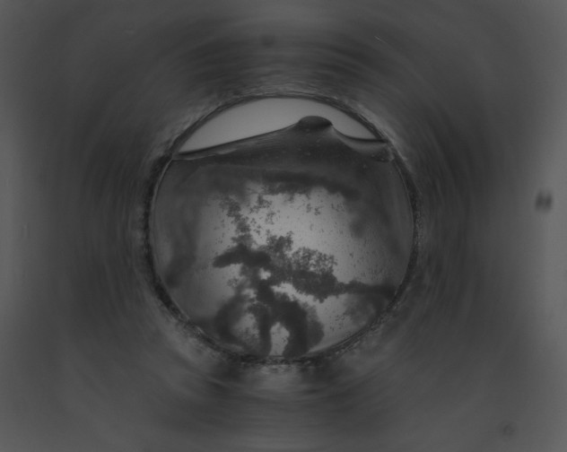 X0000091360353200708311509