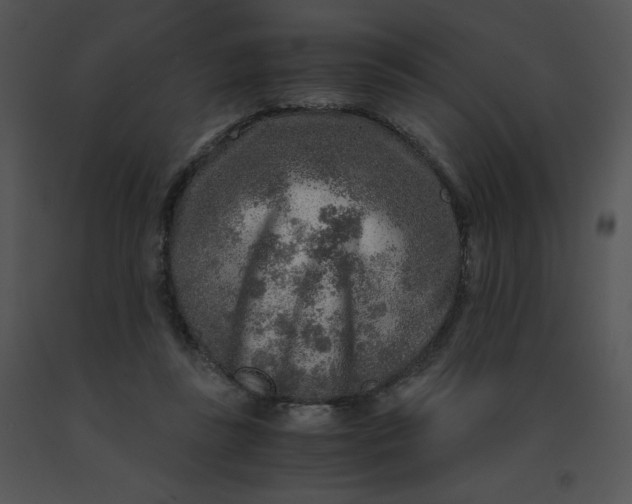 X0000091360355200708311509