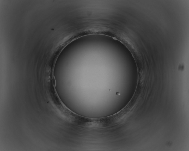 X0000091360356200708311509