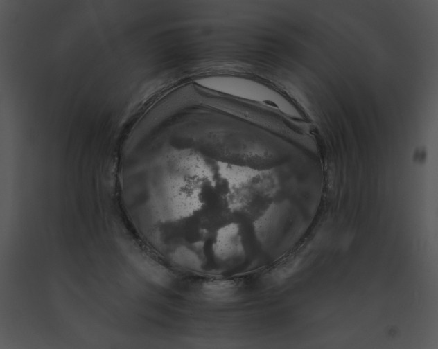 X0000091360357200708311509
