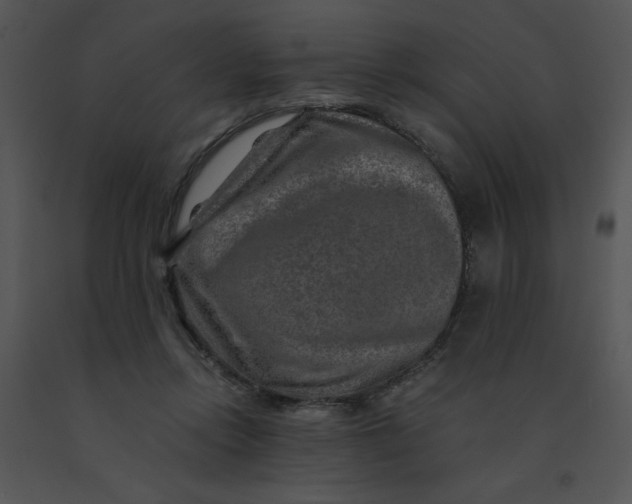 X0000091360358200708311509