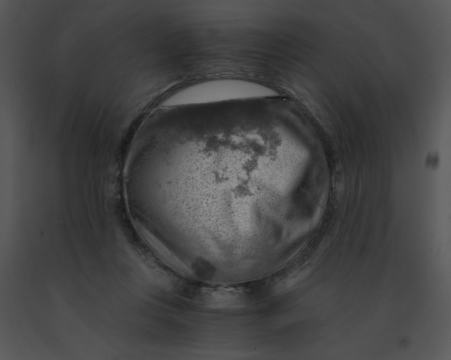 X0000091360359200708311509