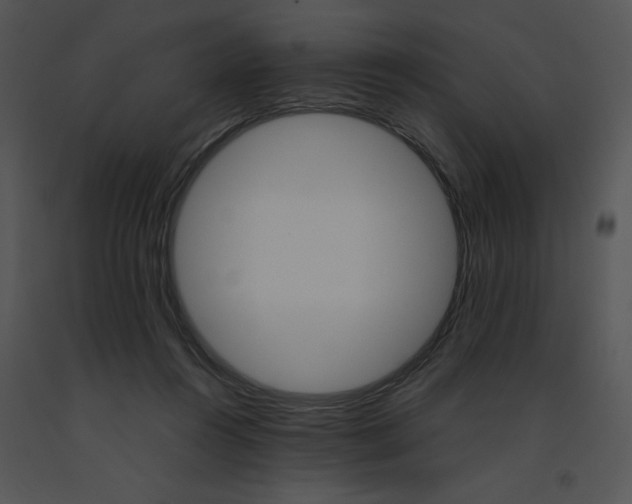 X0000091360360200708311509