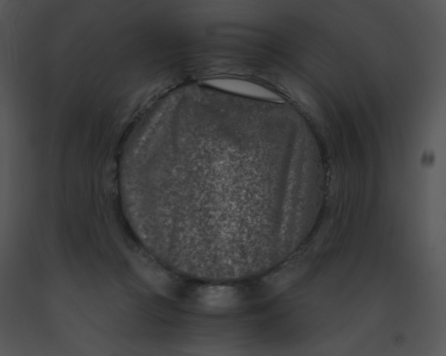X0000091360361200708311509