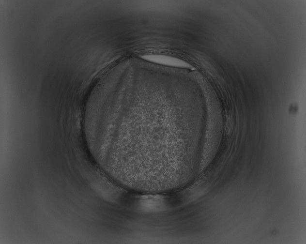 X0000091360363200708311509