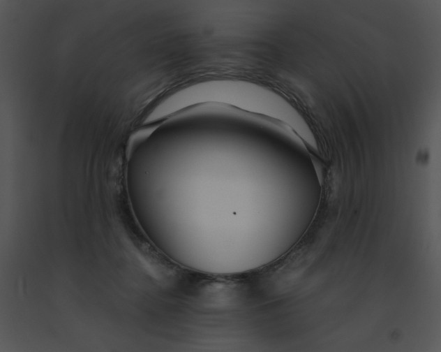X0000091360364200708311509