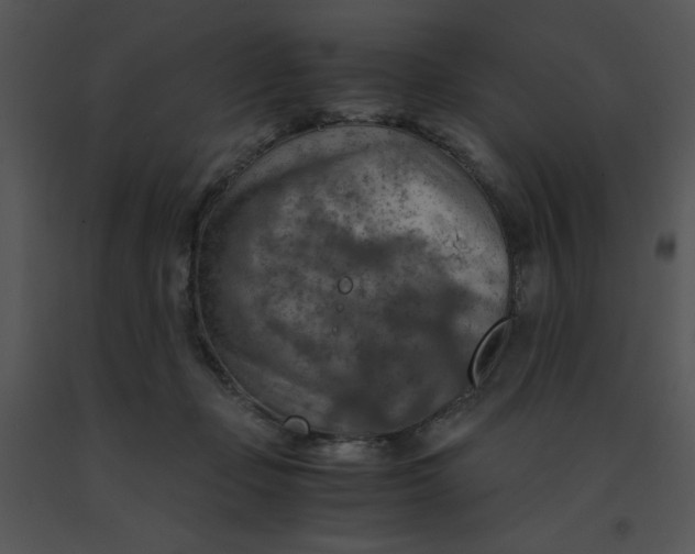 X0000091360365200708311509