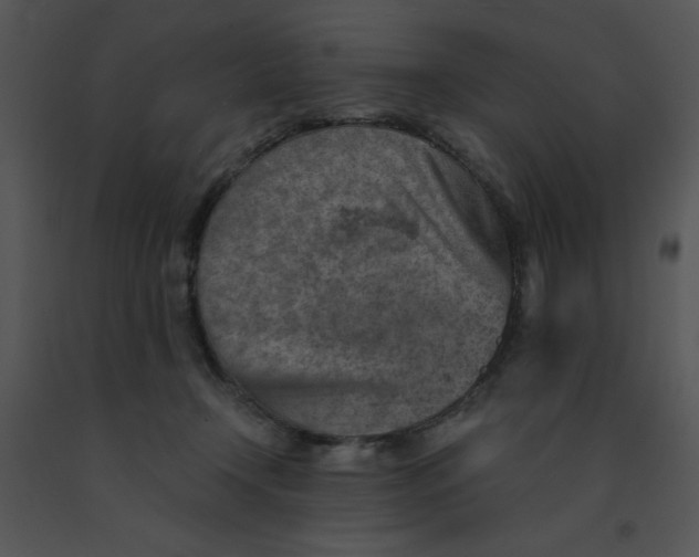 X0000091360366200708311509