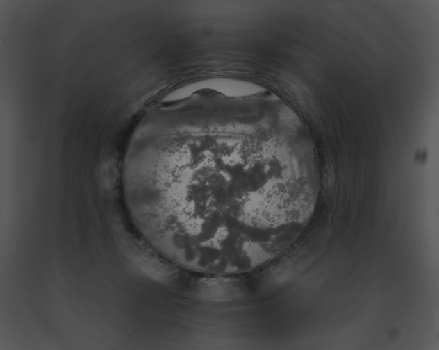 X0000091360367200708311509