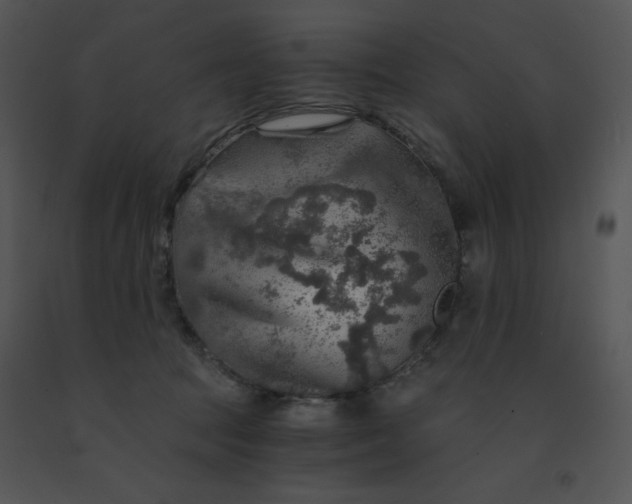 X0000091360369200708311509