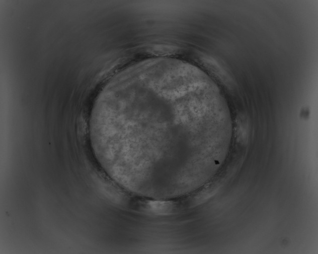 X0000091360371200708311510