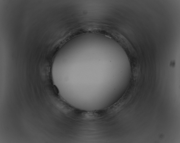 X0000091360372200708311510