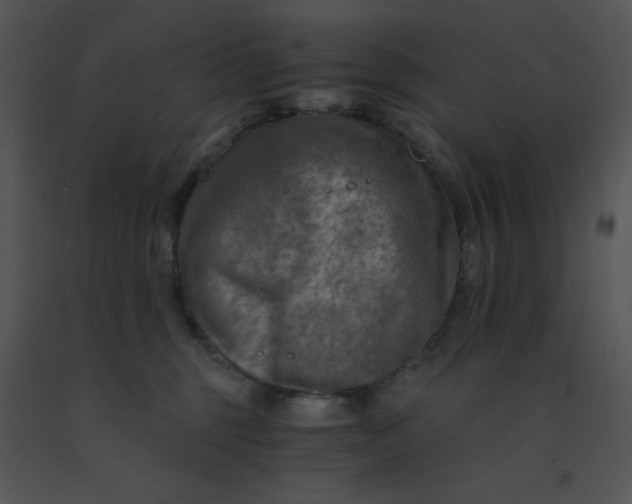 X0000091360375200708311510