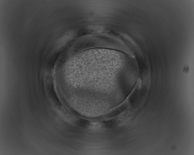 X0000091360376200708311510