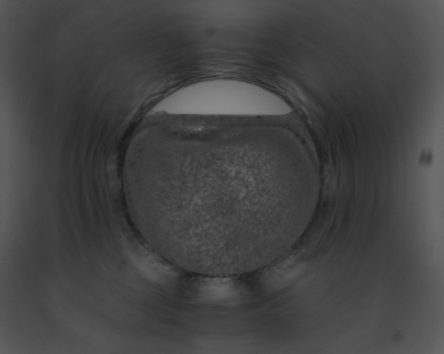 X0000091360377200708311510