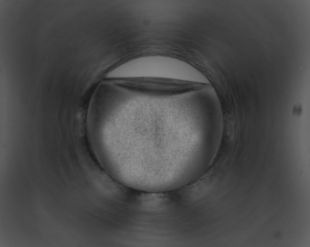 X0000091360378200708311510