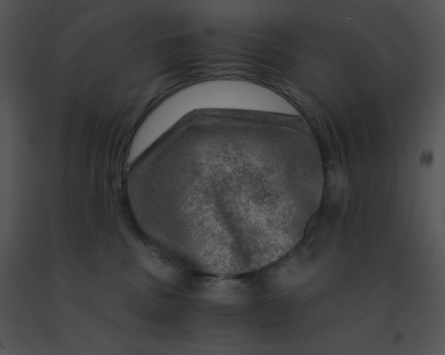 X0000091360379200708311510