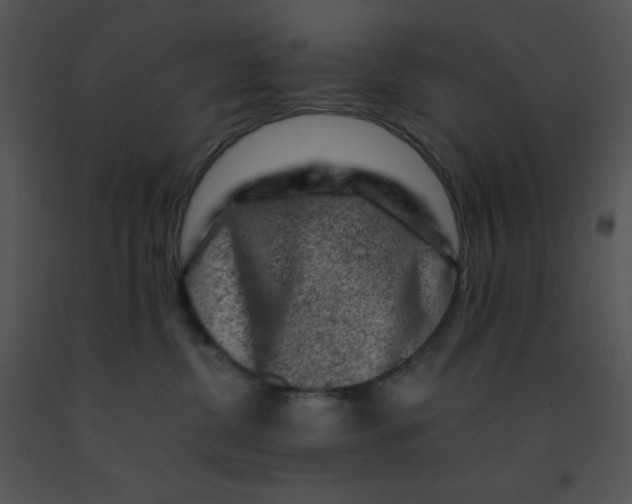X0000091360380200708311510
