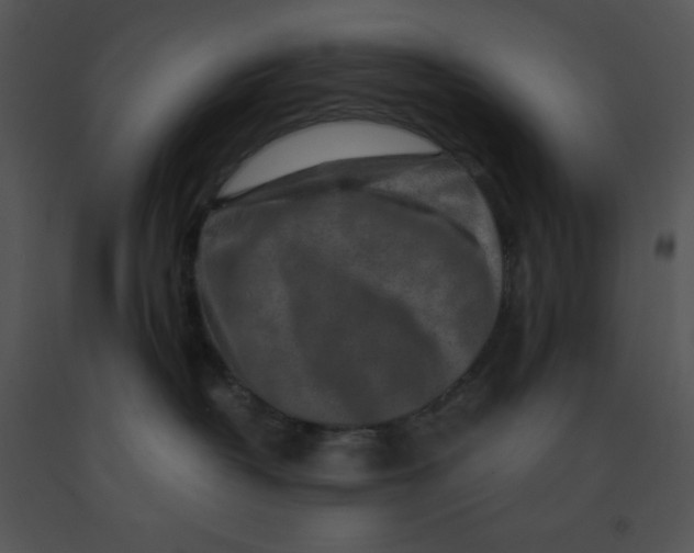 X0000091360382200708311510