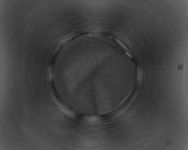 X0000091360383200708311510