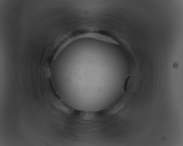 X0000091360384200708311510