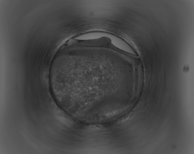 X0000091360386200708311509