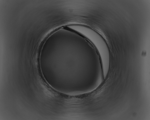 X0000091360387200708311509