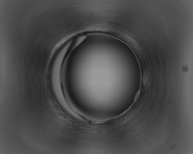 X0000091360388200708311509