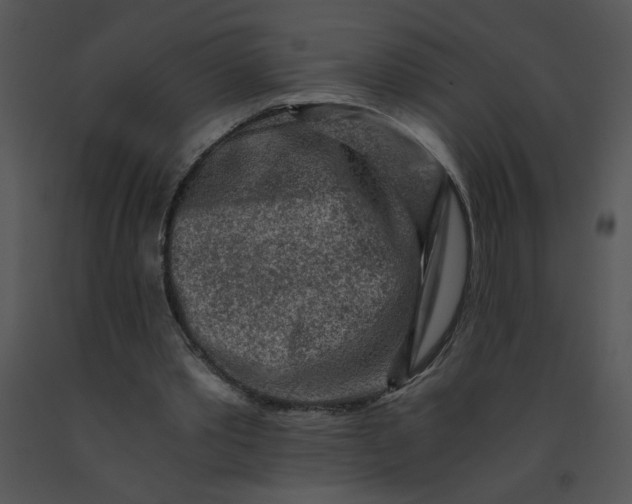 X0000091360389200708311509