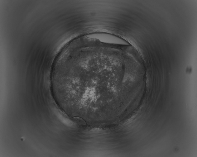X0000091360390200708311509