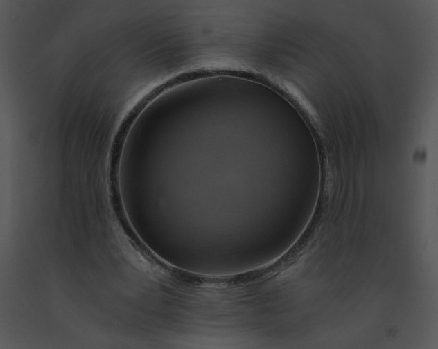 X0000091360391200708311509