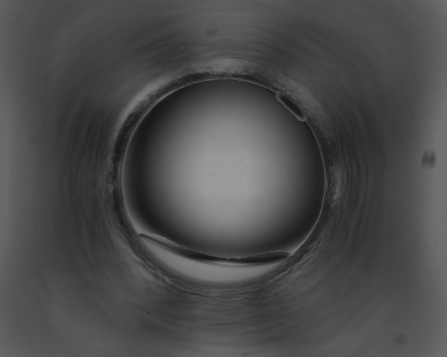X0000091360392200708311509
