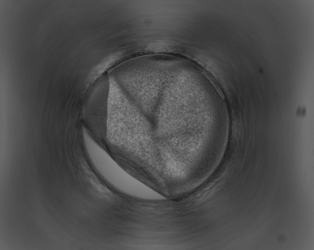 X0000091360393200708311509