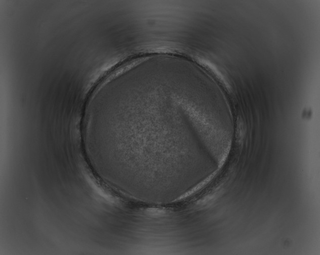 X0000091360394200708311509