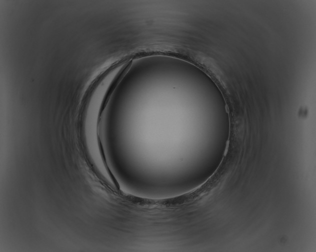 X0000091360395200708311509