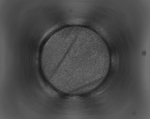 X0000091360396200708311509