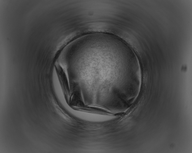 X0000091360397200708311509