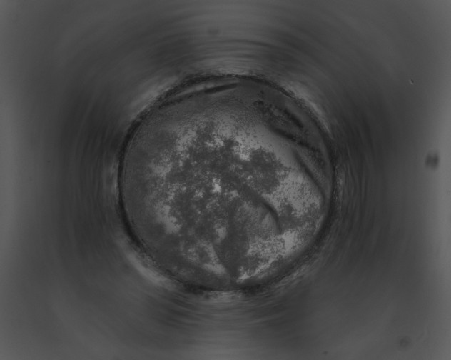X0000091360398200708311509