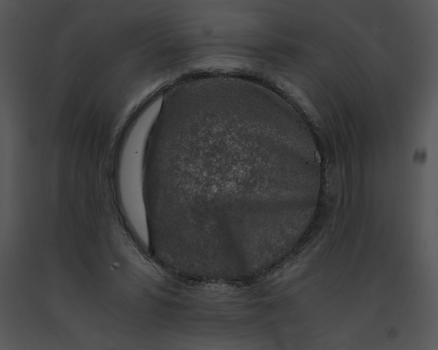 X0000091360399200708311509