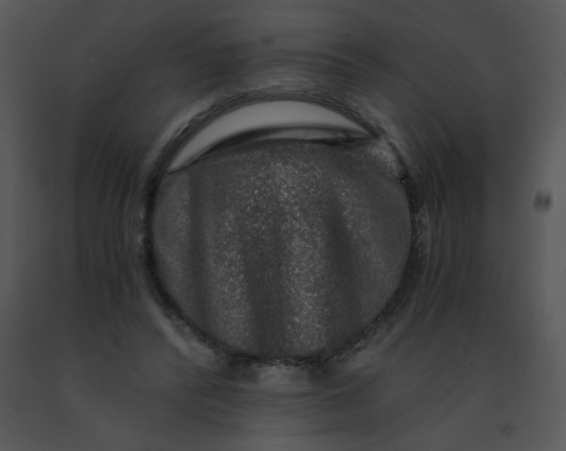 X0000091360400200708311509