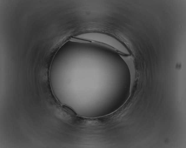 X0000091360401200708311509